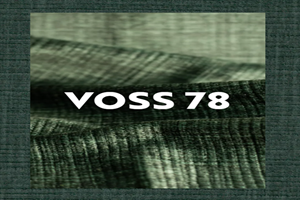 Voss