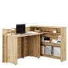 pisaci stol work concept dub artisa