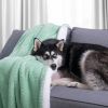 hrejivá deka shleepy peppermint pes na deke