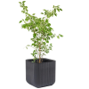 skvely-kvetinac-brick-planter-sm-v-dizajne-grafit