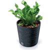 skvely-kvetinac-furu-round-v-prevedeni-antracit-30-cm