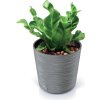 sivy-kvetinac-furu-round-30-cm-v-modernom-dizajne
